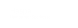 Hamburger Sparkasse AG